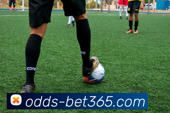 bet365平台生态图